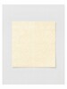 Dawn Blind Blackout Fabric - 300cm