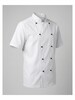 Chef Jacket Double Breasted Short Sleeve