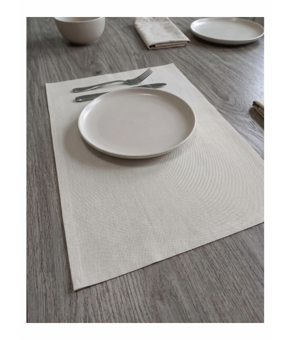 Table Placemat 30*40cm  (Sheer weave)