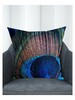 Cushion Cover 45*45cm Peacock D#2