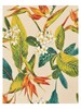 Bark Cloth Crepe FD015R