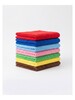 Micro Fiber Cloth Small  