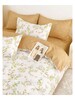 Duvet Bed Set Cotton Printed 24102