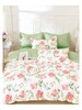 Duvet Bed Set Cotton Printed 24105