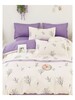 Duvet Bed Set Cotton Printed 24111