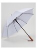 Auto Click Umbrella