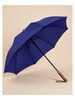 Auto Click Umbrella