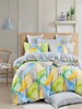 Duvet Bed Set Cotton Printed 2507