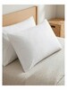 Twin Pack Poly Cotton Pillow Cases 250TC